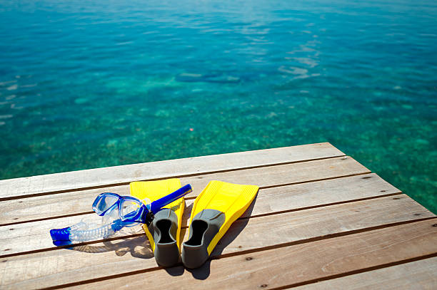 Affordable Snorkel Gear Every Traveler Needs for Their Next Adventure!