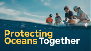 Citizen Science in Marine Conservation: How Volunteers Are Protecting Our Oceans