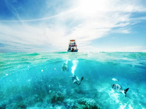 Diving in Mexico: The Risks To Watch Out For