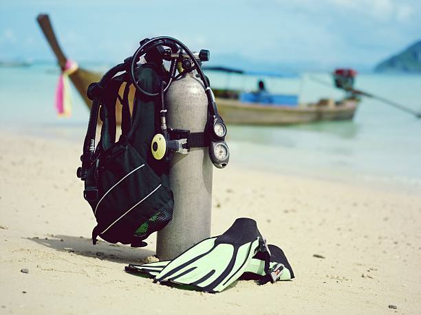 Gear Up for Adventure: Essential Equipment for Scuba Diving