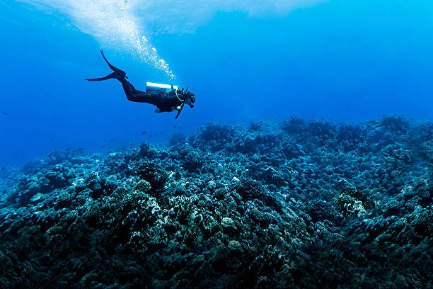 Getting Hooked On Scuba Diving
