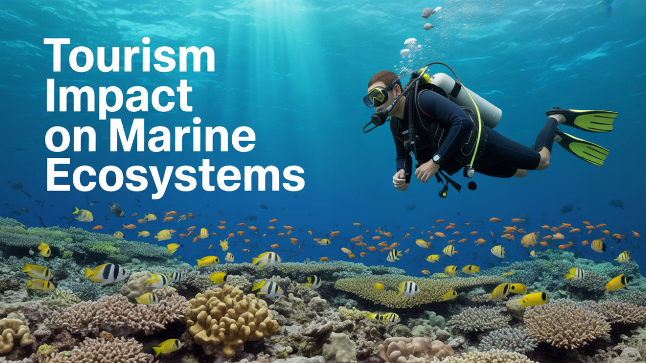 Tourism Impact on Marine Ecosystems: How Divers Can Protect Our Oceans
